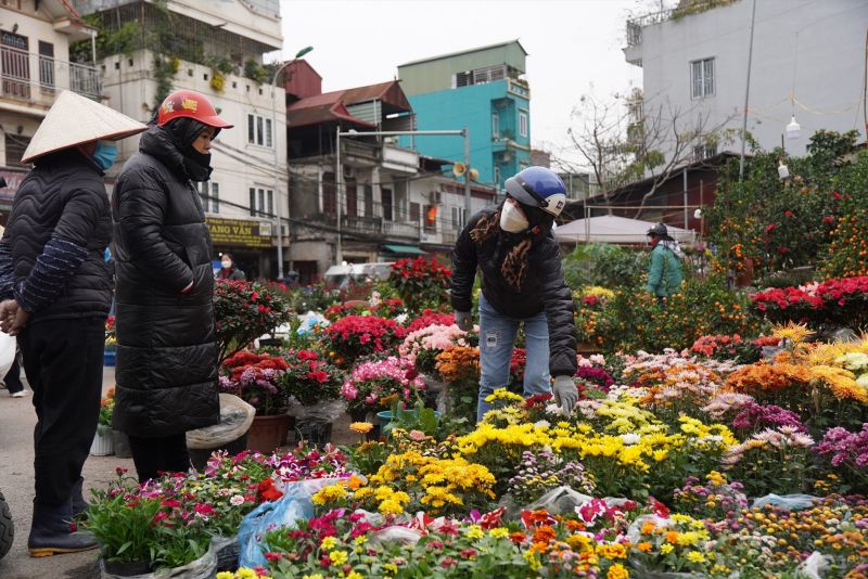 Đường Hoàng Hoa Thám vào ngày Tết