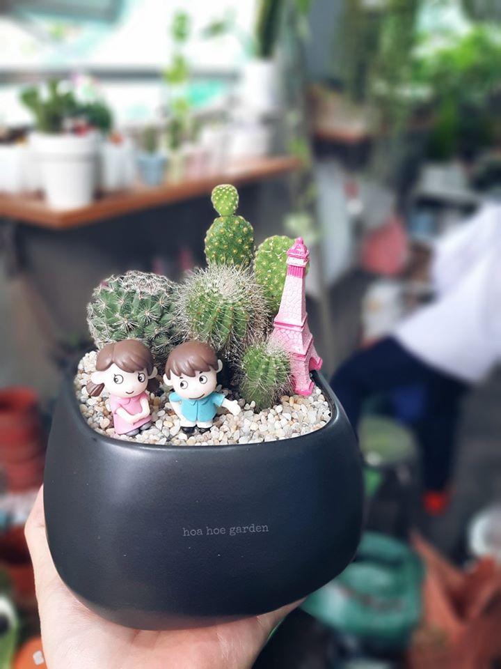 Hoa Hoe Garden