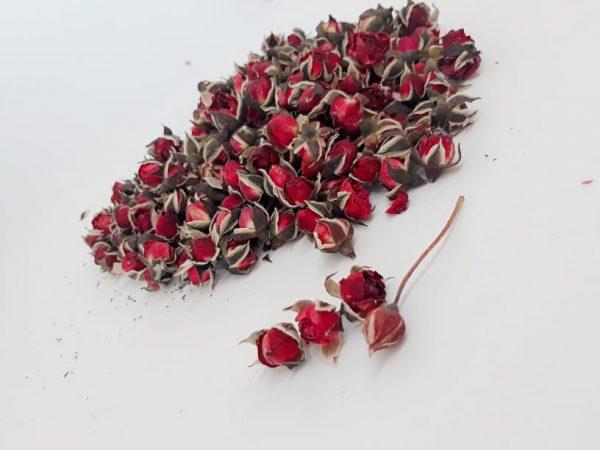 Hoa Hồng Và Tôi
