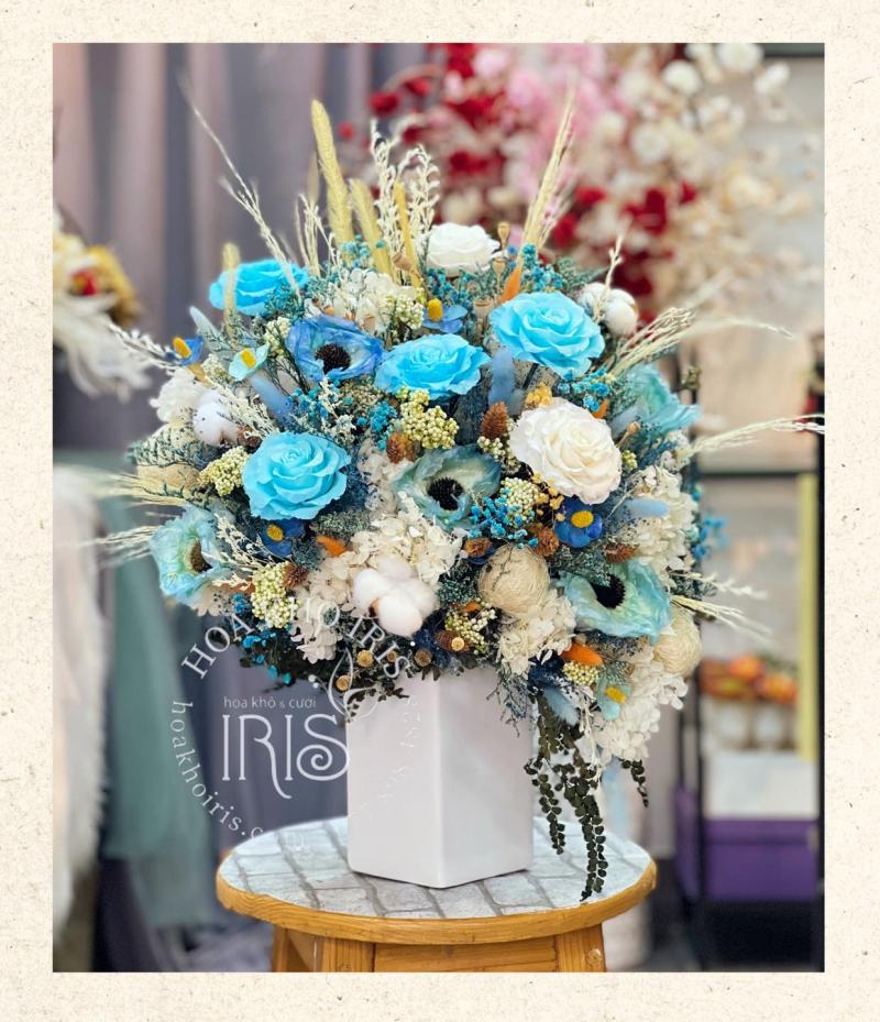 Hoa khô IRIS