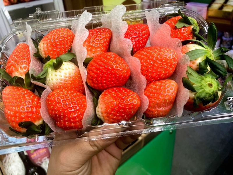 Hoa quả nhập khẩu sạch Biovegi