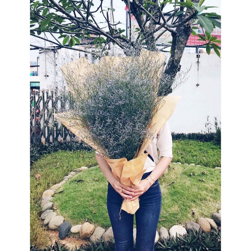 Hoa sao tinh khiết