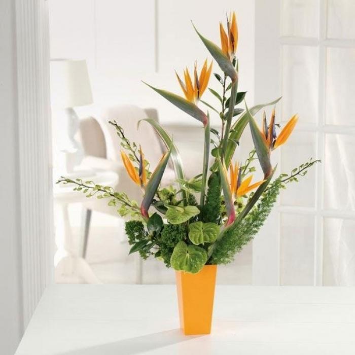 Loài hoa được mệnh danh “chim thiên đường” này lại chứa rất nhiều chất độc làm hại đường tiêu hóa