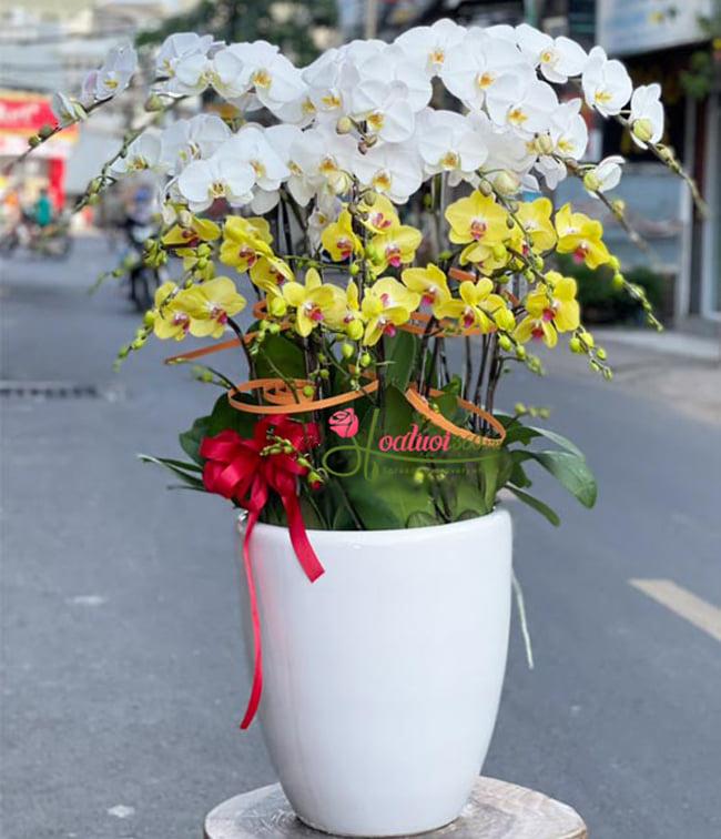 Hoa Tươi 360