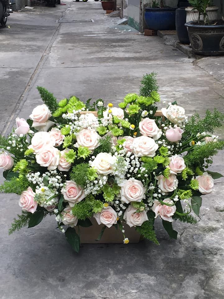 Hoa Tươi Huỳnh Long