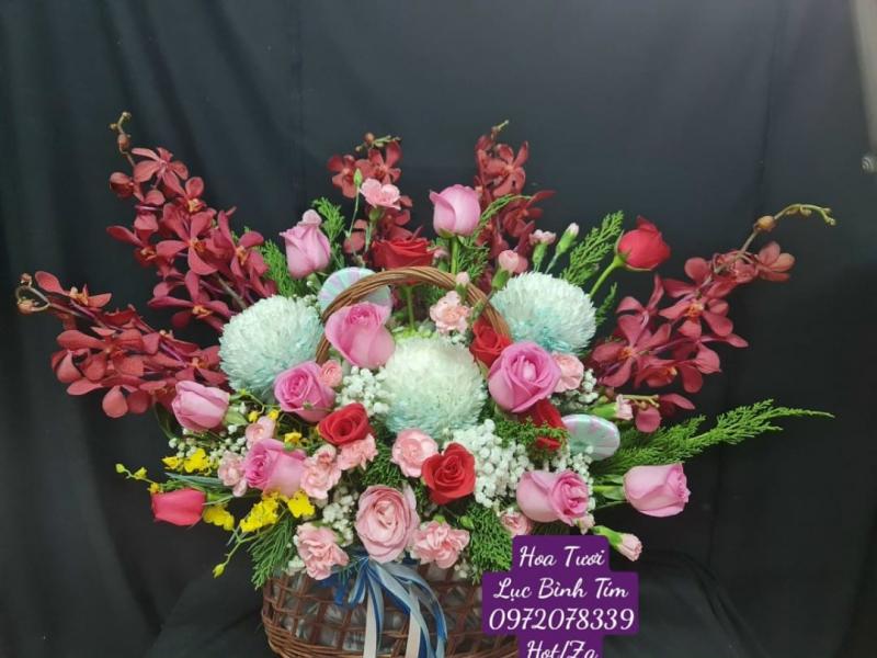 Hoa tươi Lục Bình Tím