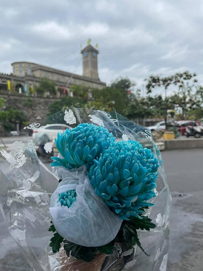 Hoa Tươi Tường Vy
