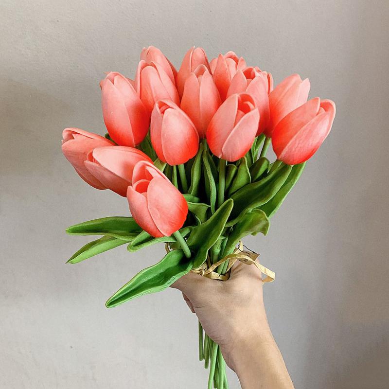 Hoa Tulip