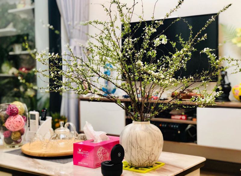 ﻿﻿Hoa tuyết mai