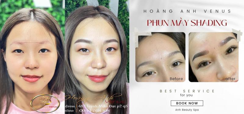Hoàng Anh Venus