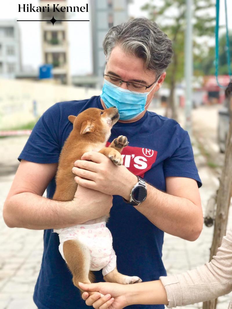 Hoang Hoang - Hiraki Kennel