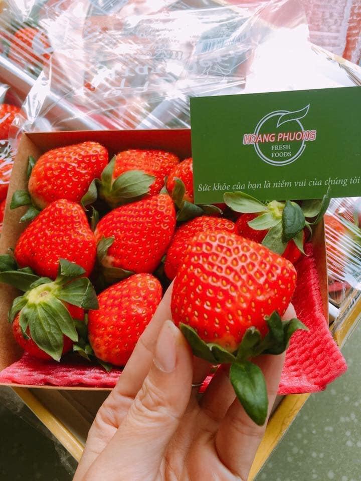 Hoang Phuong - Fresh Foods