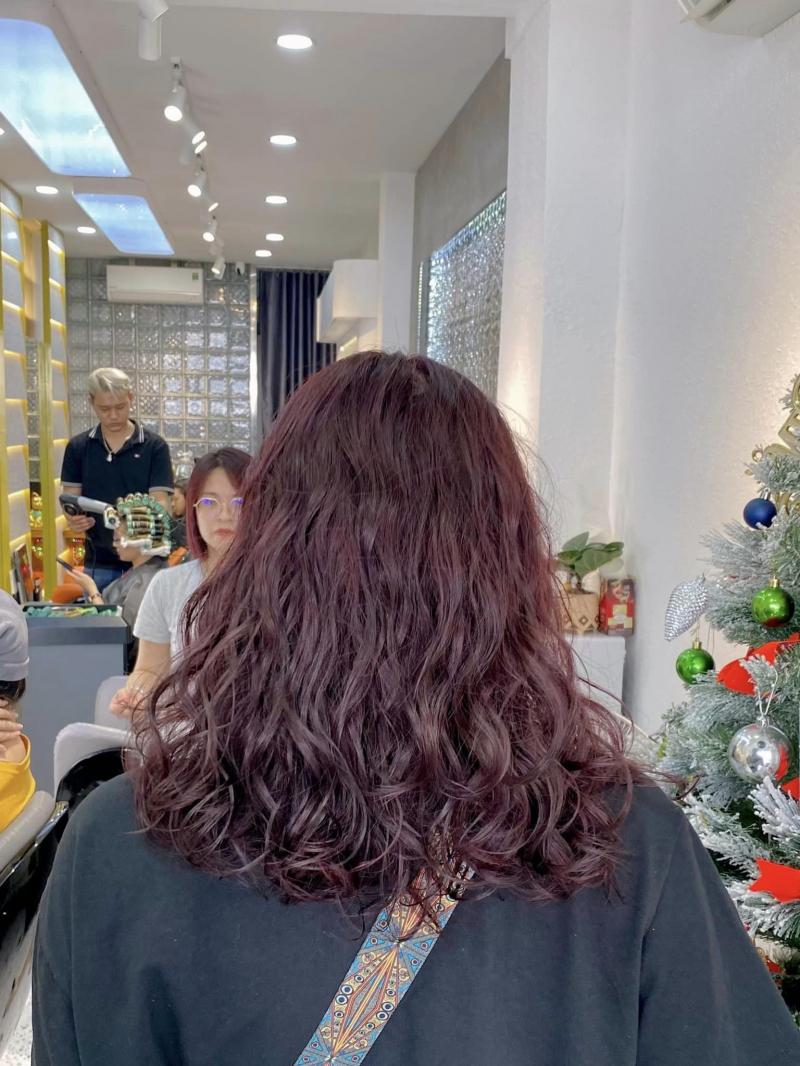 Hoàng Toni Hair