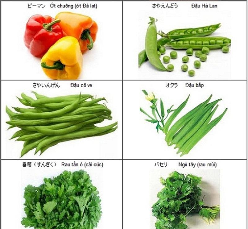 Nhóm từ vựng tiếng Nhật về rau củ