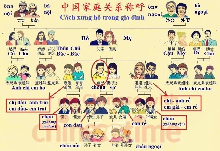 Học các từ cùng trường nghĩa sẽ mau nhớ hơn.