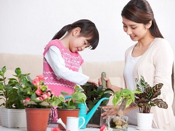 Trẻ có thể học toán thông qua các trò chơi cùng cha mẹ.
