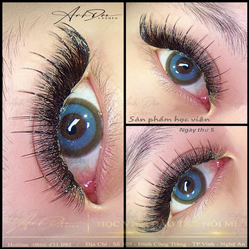 Học Viện Đào Tạo Nghề Nối Mi TP Vinh (Anh Đào Lashes)