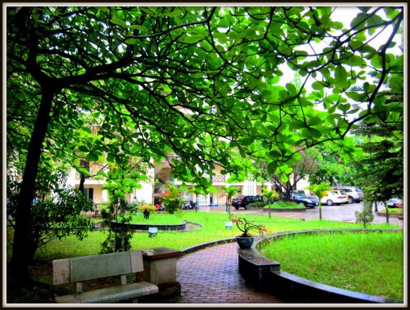 Phía trong khuôn viên trường