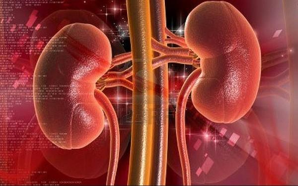 Bệnh thận hư phải uống thuốc điều trị suốt đời