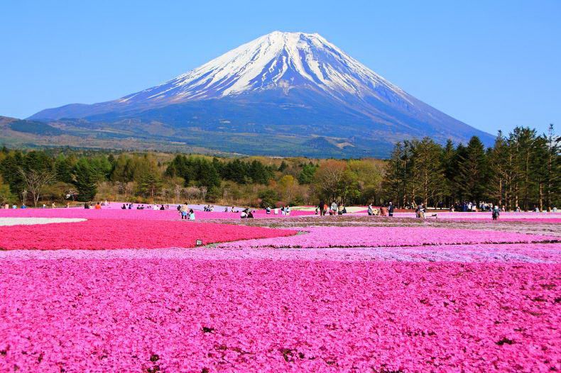 Hokkaido - Nhật Bản