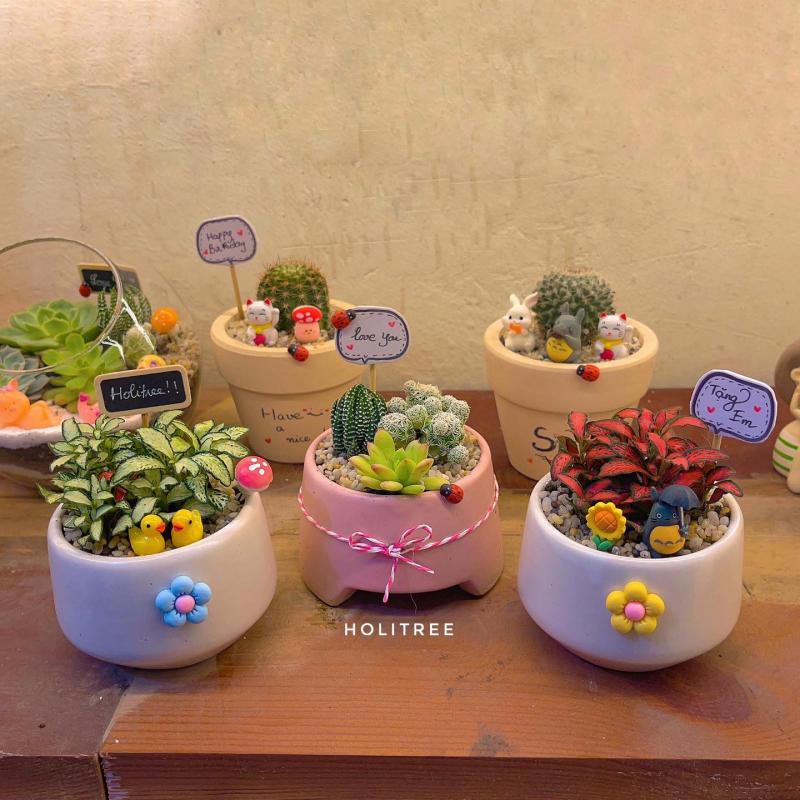 HoliTree - Sen Đá Tiểu Cảnh