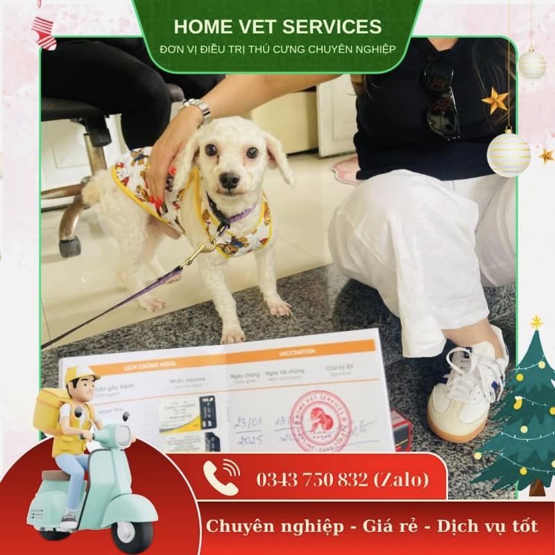 Home Vet Services - Dịch vụ Thú y Nha Trang
