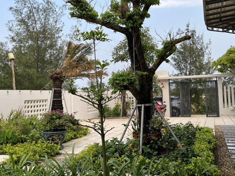 Homestay Châu Tân - Bình Châu