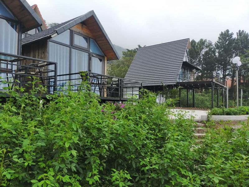 Homestay Tam Đảo - Ban Mai Xanh