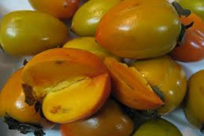 Hồng Đông Lộ