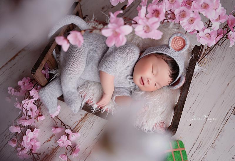 Hồng Luyến photographer