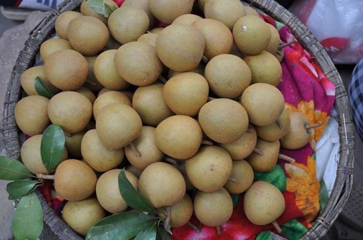 Hồng xiêm Mặc Bắc