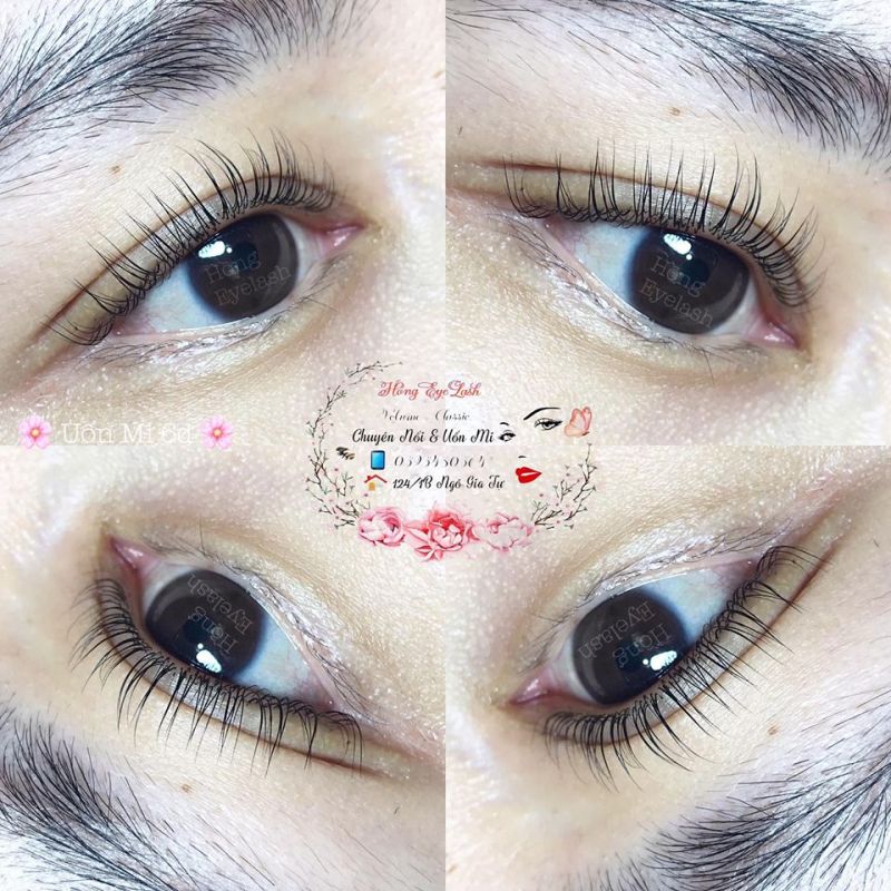 Hồng Eyelash