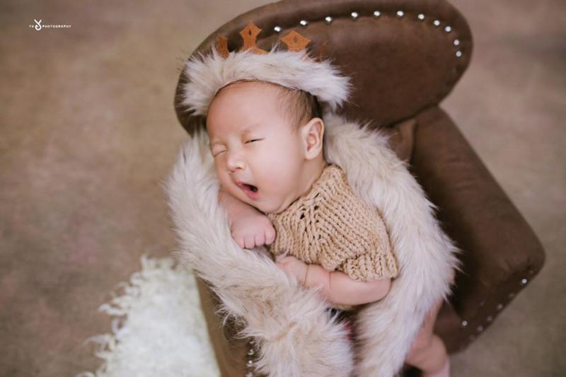 Thỏ Photography