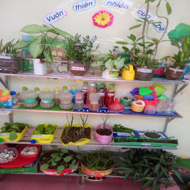 Hướng dẫn cách trang trí góc thiên nhiên
