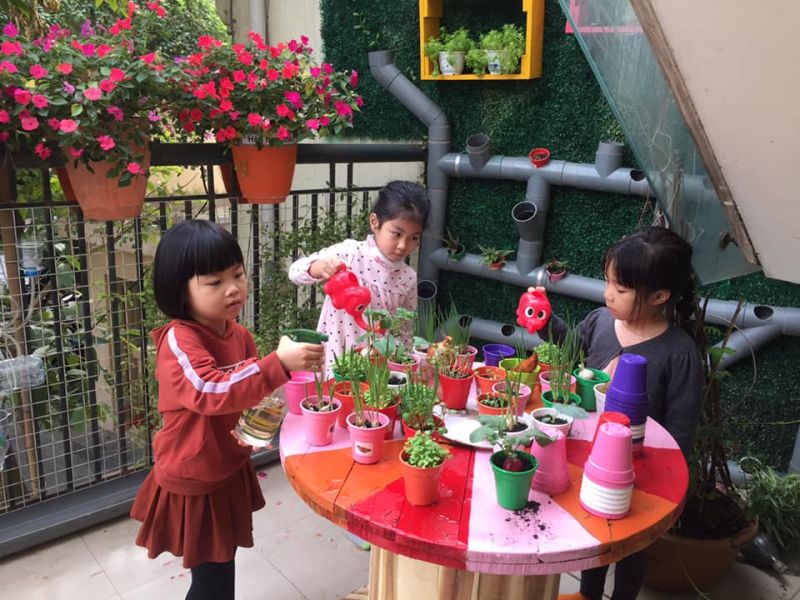 Hướng dẫn cách trang trí góc thiên nhiên