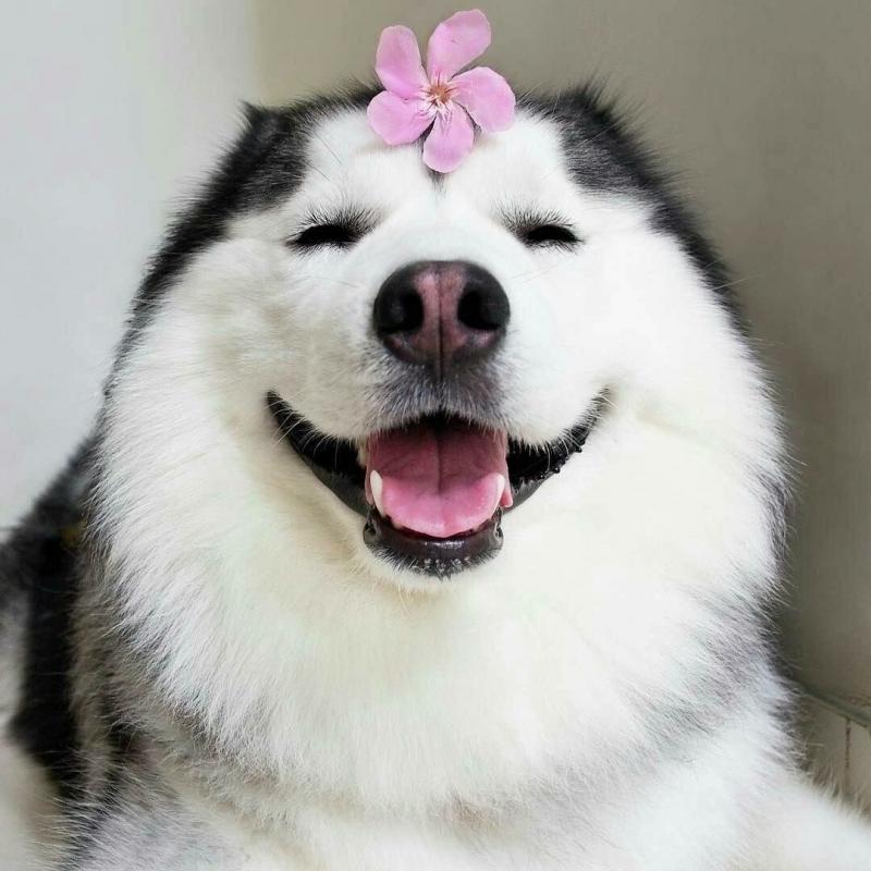 Duyên dáng lắm rồi nha