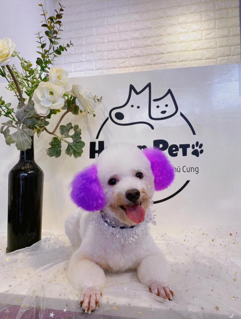 Huyen Pet