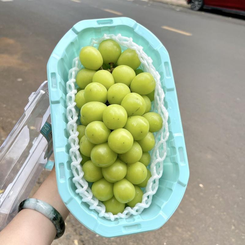 Huỳnh Gia Trái Cây Nhập Khẩu - Trái Cây Việt Hữu Cơ- Thực Phẩm Healthy