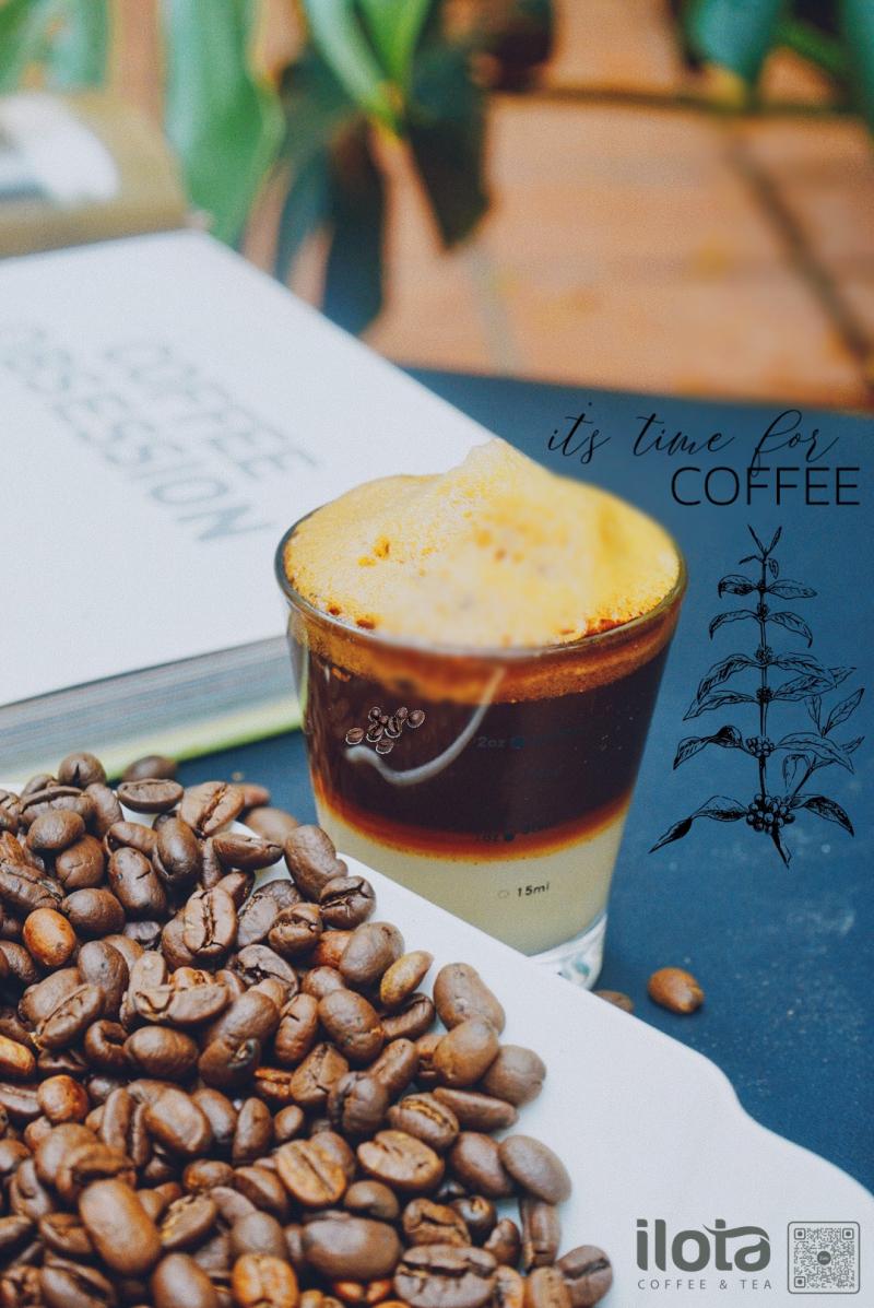 ilota Coffee Roasters