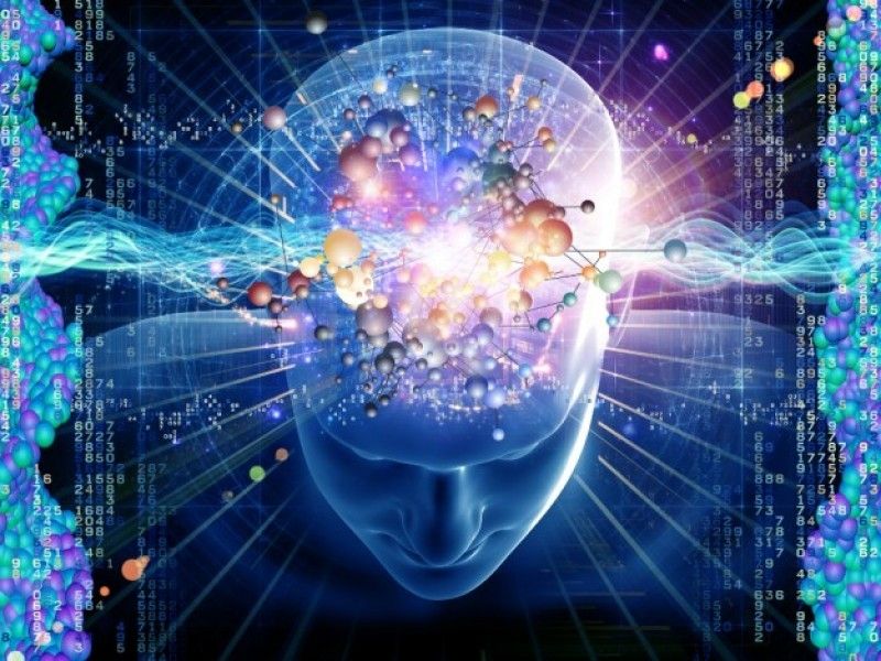Internet nhanh hơn nhưng bộ não chậm hơn