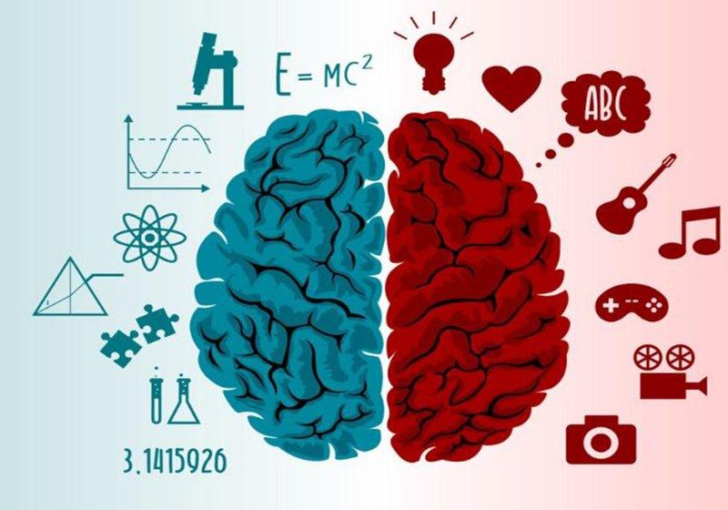 Kiểm tra IQ