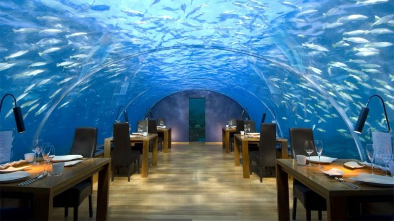 Dùng bữa ngay dưới lòng đại dương tại Ithaa Undersea