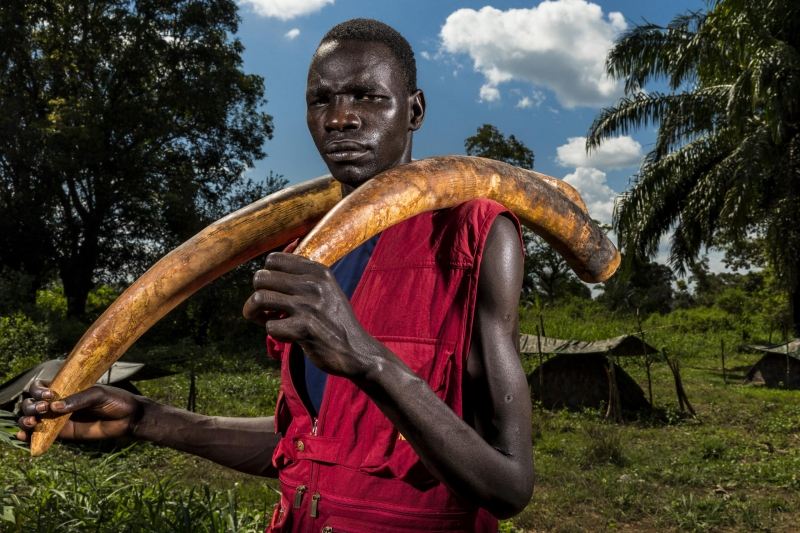 Ivory Wars - Brent