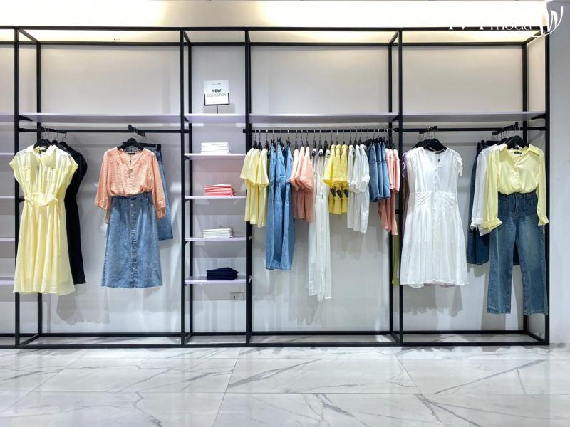 Ivy moda