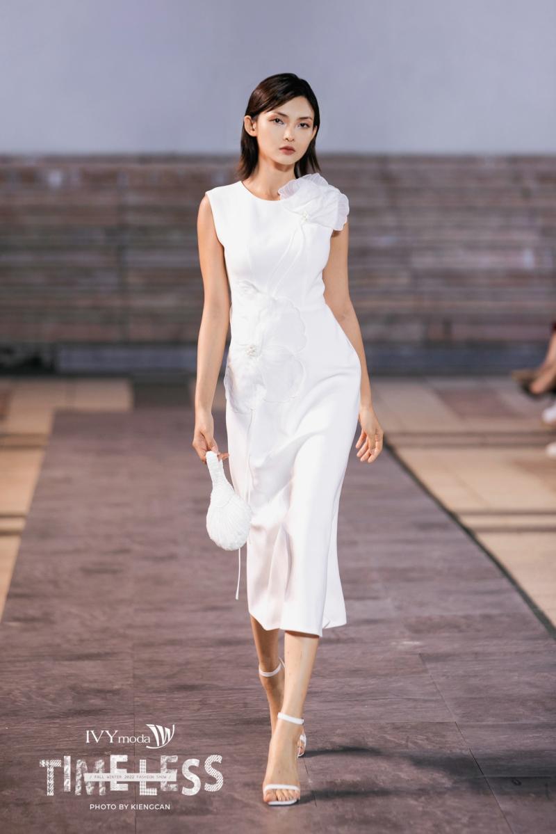 IVY Moda