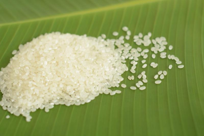 Gạo Japonica