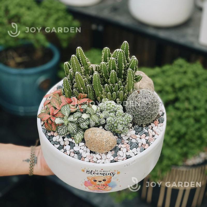 Joy Garden