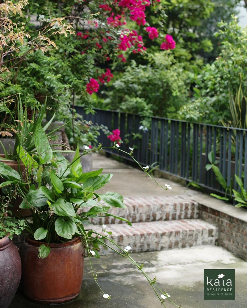 Kaia Residence Danang Quiet Garden
