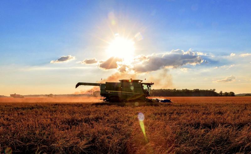 Kansas sản xuất đủ lúa mì trong một năm để nuôi tất cả mọi người trên thế giới trong hai tuần