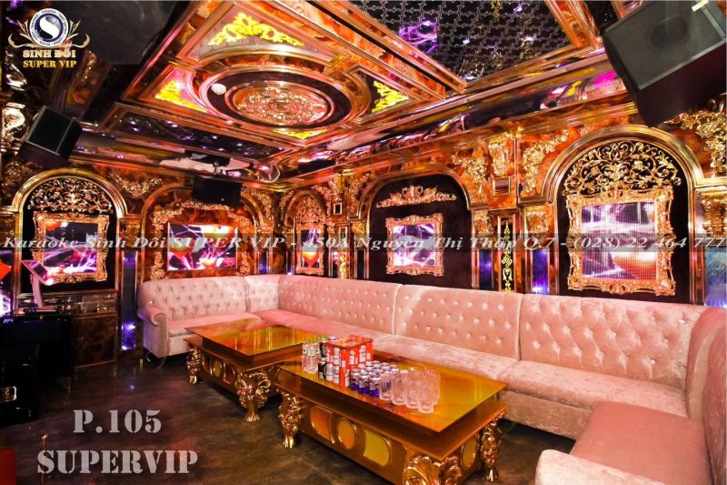 Karaoke Sinh Đôi V.I.P